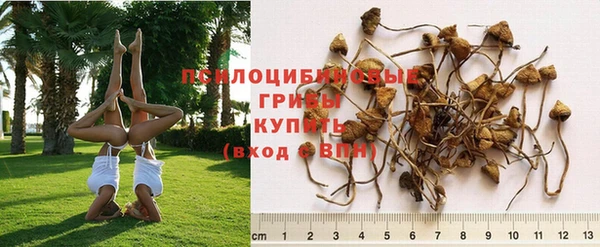 спайс Сосновый Бор