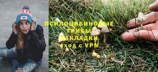 спайс Сосновый Бор