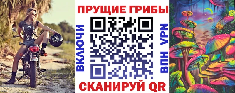 Псилоцибиновые грибы Cubensis  Омск 