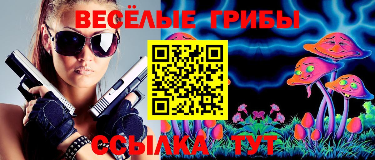 Псилоцибиновые грибы прущие грибы  Омск  Галлюциногенные грибы Psilocybine cubensis 