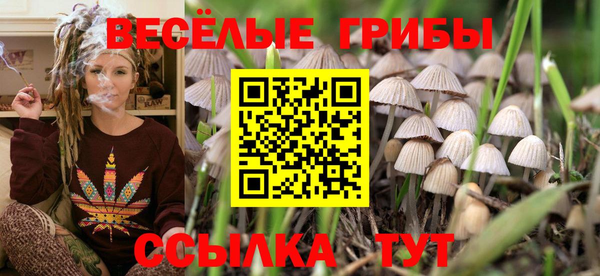 Омск  Псилоцибиновые грибы прущие грибы  Вход с VPN 