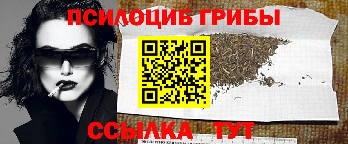 Галлюциногенные грибы Cubensis Омск