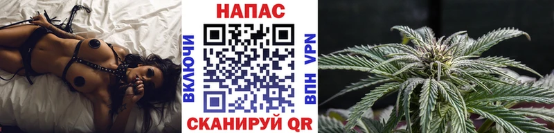 Каннабис OG Kush  Омск 